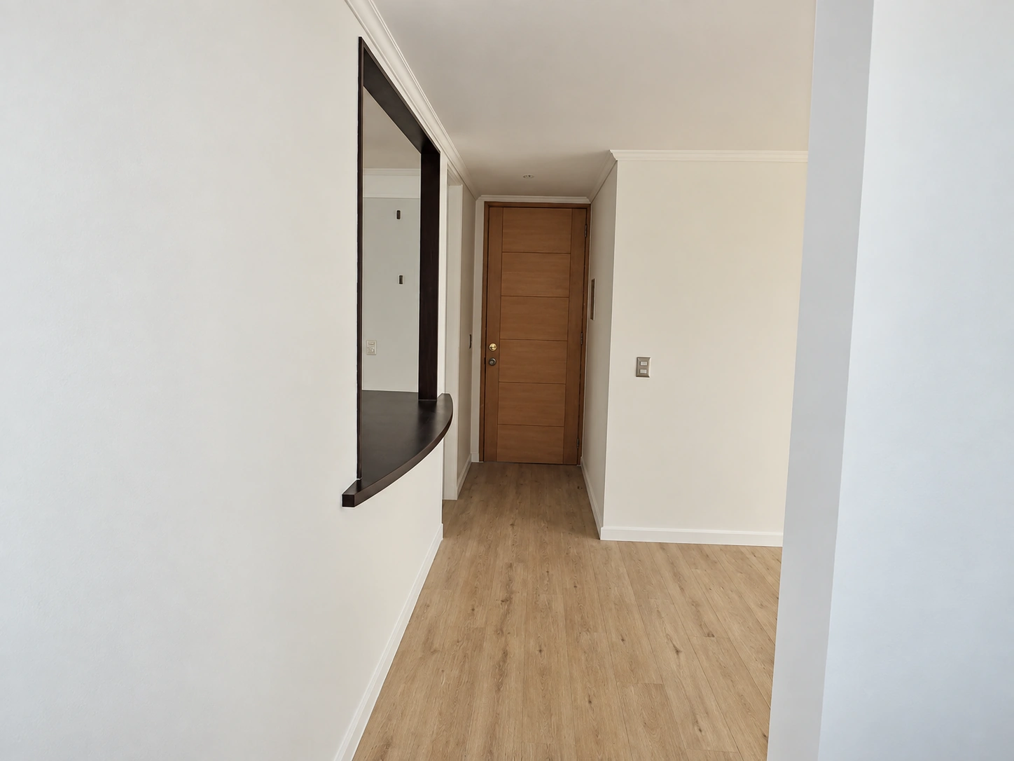 Pasillo interior con piso de terminación tipo madera y puerta de acceso